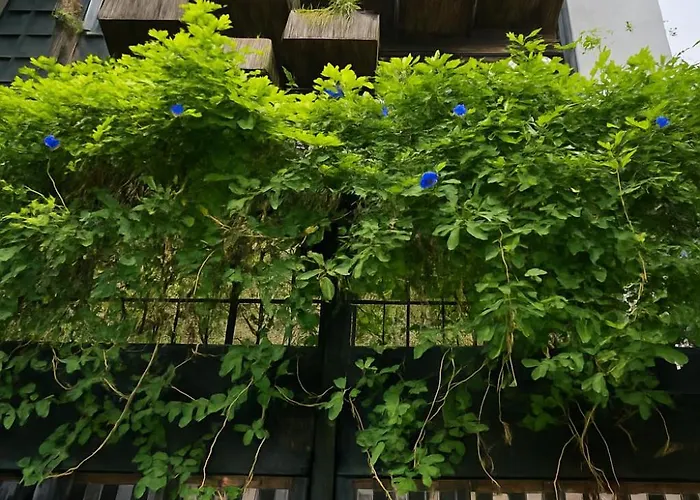 Apartament Canopy Family *
